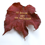 O.T. aus der Serie „Kleiner Vorhang für großes Theater“, 2010 (Ausstellung im Salle de Bal, Palais Clam-Gallas, Wien, 2014)

Print, 30 x 30 cm, gerahmt
Auflage: 5, rückseitig signiert, EDA

AUSRUFPREIS: 300.-