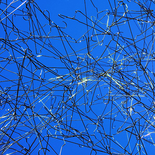 o.T. aus der Serie 'Aufhänger' (Inszenierung im Park des Palais Clam Gallas), 2014 

Print, 60 x 60 cm, Aluwechselrahmung
EdA, Auflage: 5, rückseitig signiert

Ausrufpreis: 500,-